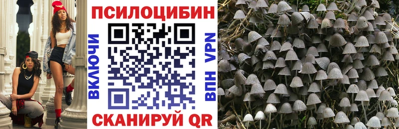 Псилоцибиновые грибы ЛСД  Николаевск 